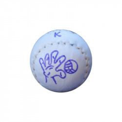 Pelota Goxua Cadete
