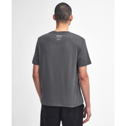 Camiseta Firebird