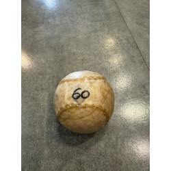 Pelota Cesta Punta Alevin