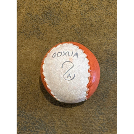 Pelota Goxua Alevin